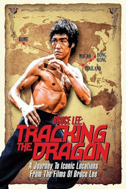 Bruce Lee: Tracking the Dragon poster